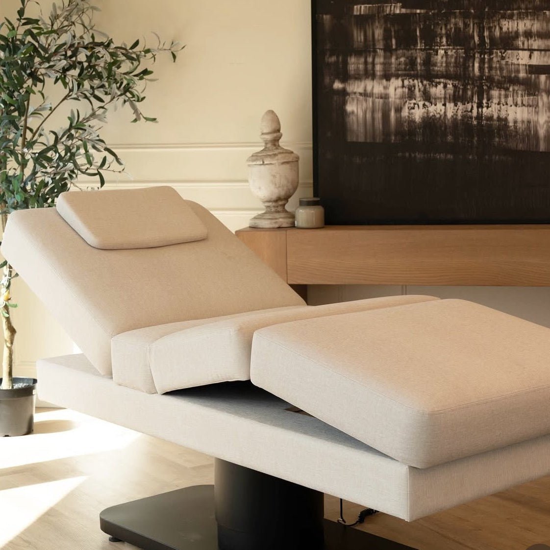 PMU Studio Setup: The Furniture Decision That Separates $150 Artists from $300 Artists - Plush + Oak